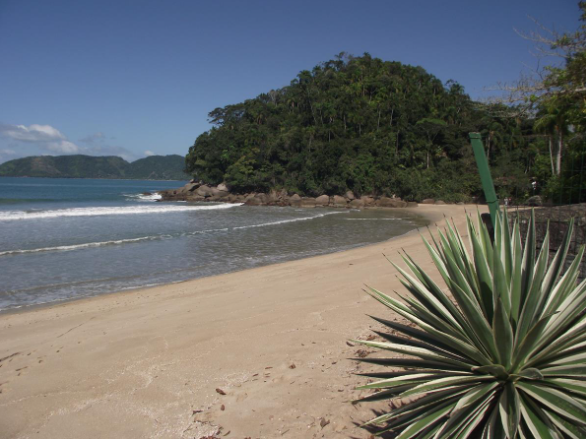 Litoral Paulista Sofre com 9 Praias Inadequadas para Banho!