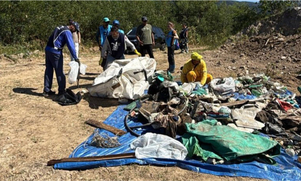 São Sebastião remove 924 kg de resíduos do Mangue do Colhereiro e reforça preservação