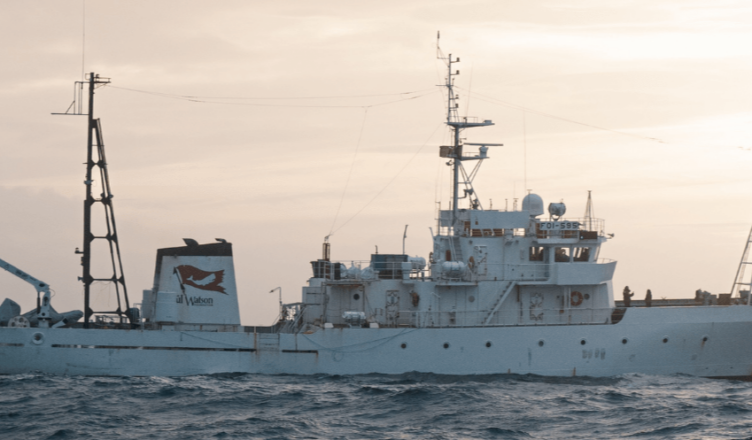 Navio internacional visita Ilhabela