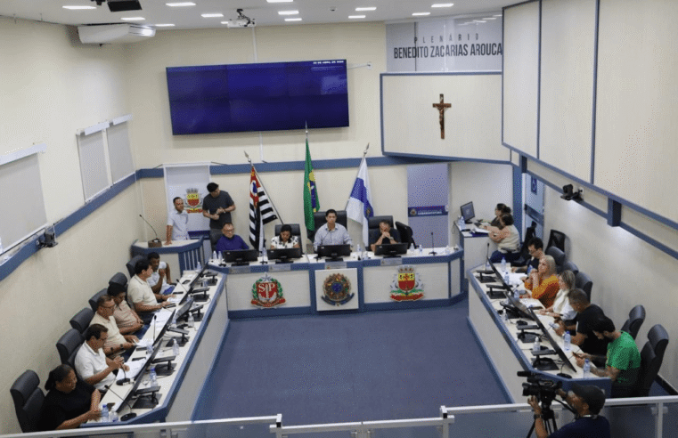 Câmara aprova projetos para contratações temporárias e acesso