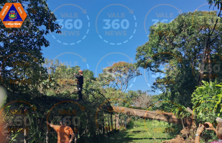 Temporal destrói bairro em Caçapava com queda de árvores