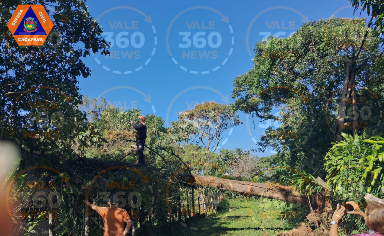 Temporal destrói bairro em Caçapava com queda de árvores