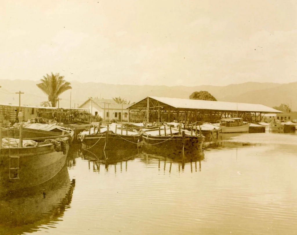 Descubra os Segredos da Fazenda dos Ingleses em Caraguatatuba