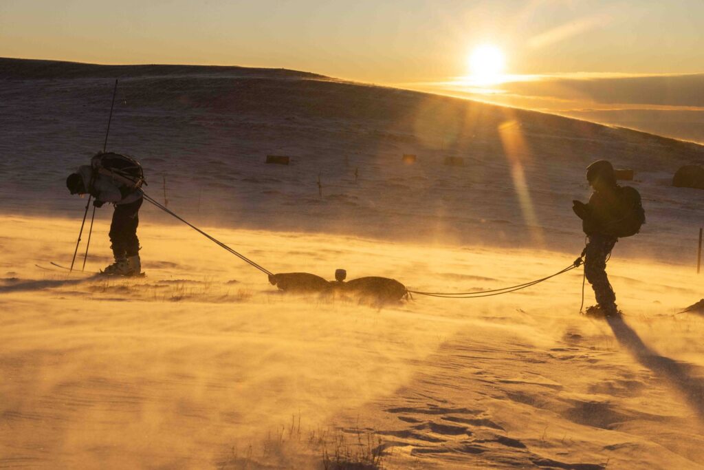 Cientistas subem montanhas nos EUA para estudar o derretimento da neve