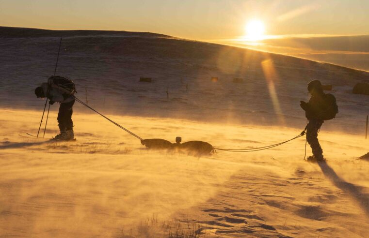 Cientistas subem montanhas nos EUA para estudar o derretimento da neve
