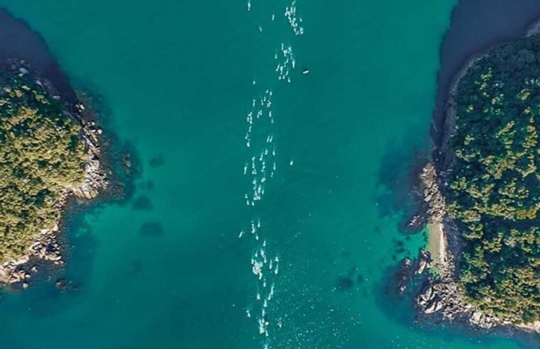 3 mil atletas se reúnem em São Sebastião para o Circuito Mares