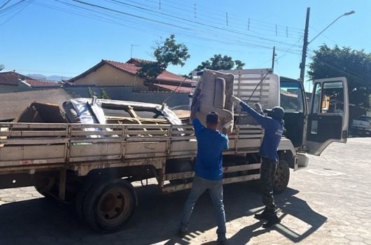 Cata-Treco destrói milhares de criadouros de dengue em Caraguatatuba