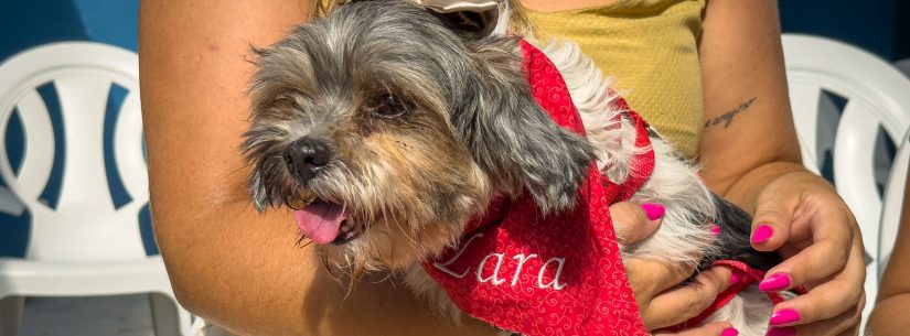 Cachorrinha é resgatada em vala e reencontrada com familiares