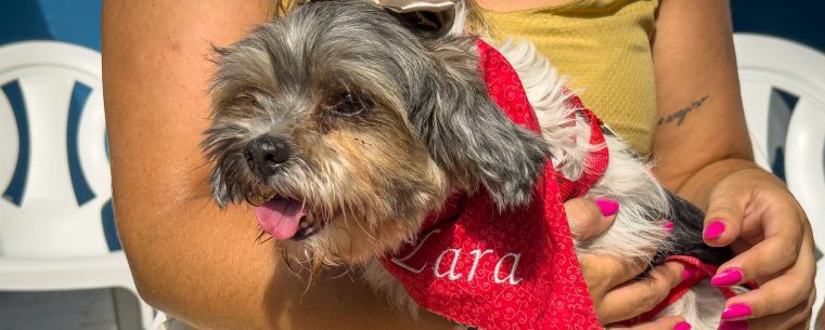 Cachorrinha é resgatada em vala e reencontrada com familiares