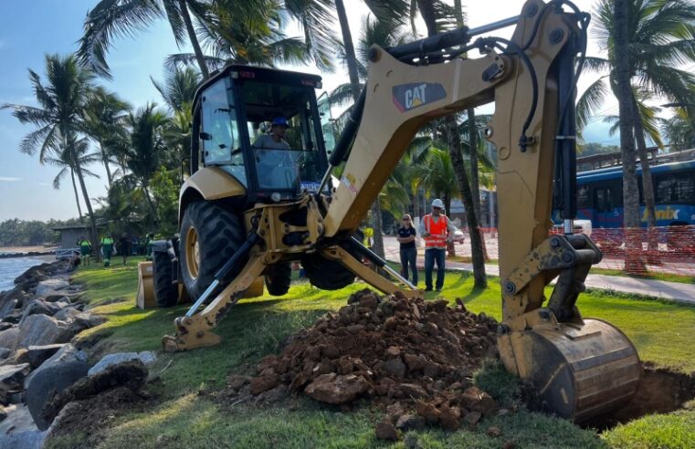 Elektro derruba quase 100 coqueiros na orla do Perequê, Ilhabela