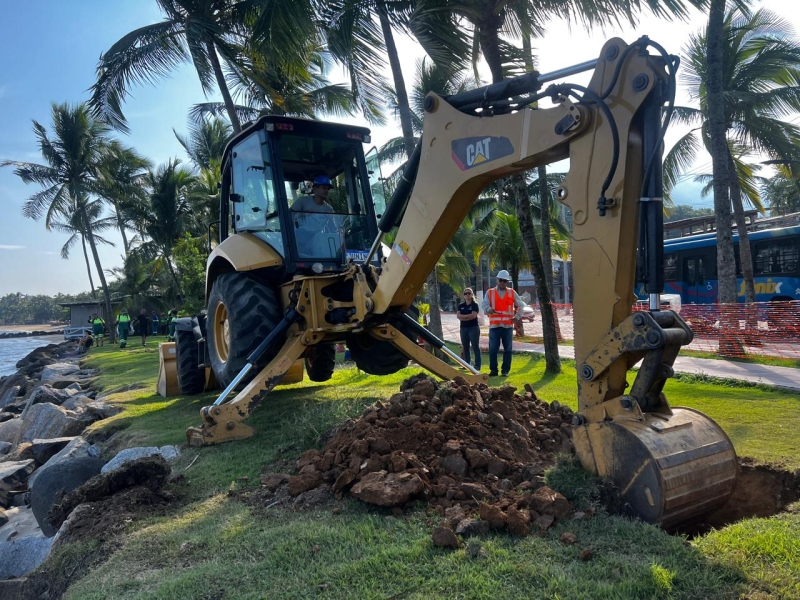 Elektro derruba quase 100 coqueiros na orla do Perequê, Ilhabela