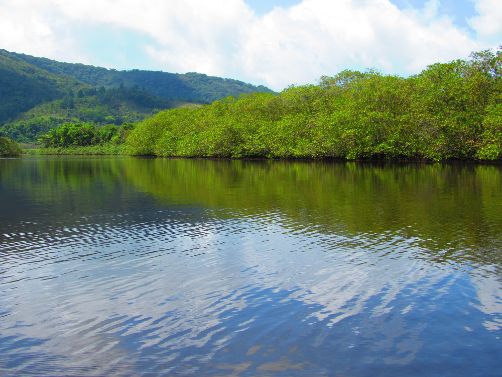 SP busca soluções climáticas inovadoras para o litoral