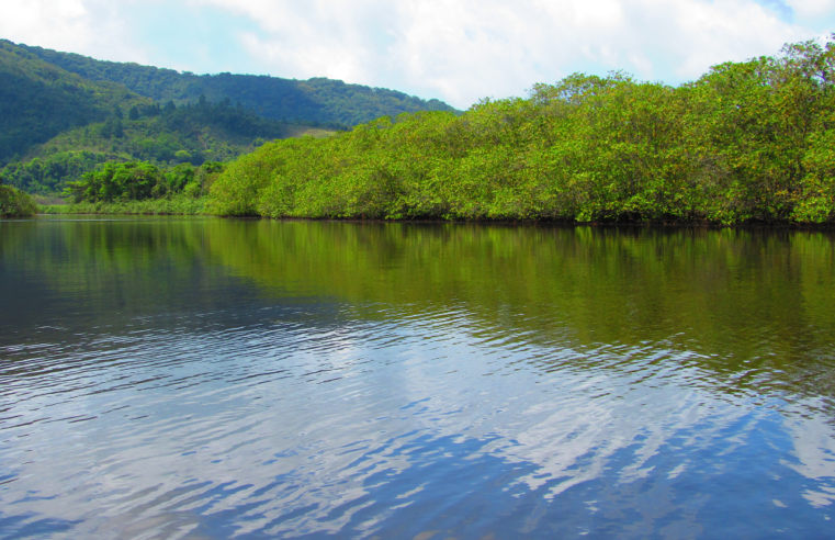 SP busca soluções climáticas inovadoras para o litoral