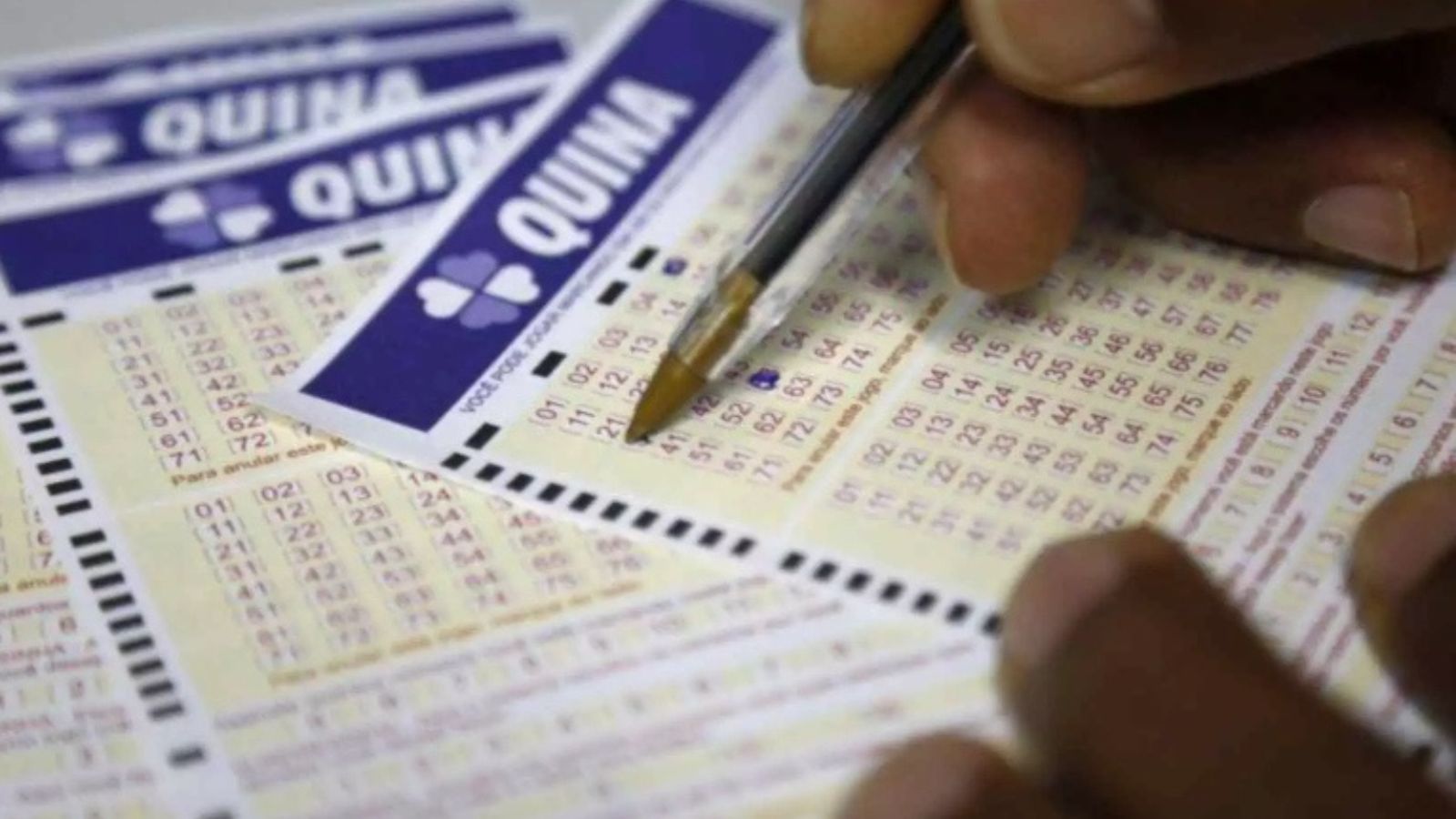 Quina 6996 ao vivo: confira números sorteados