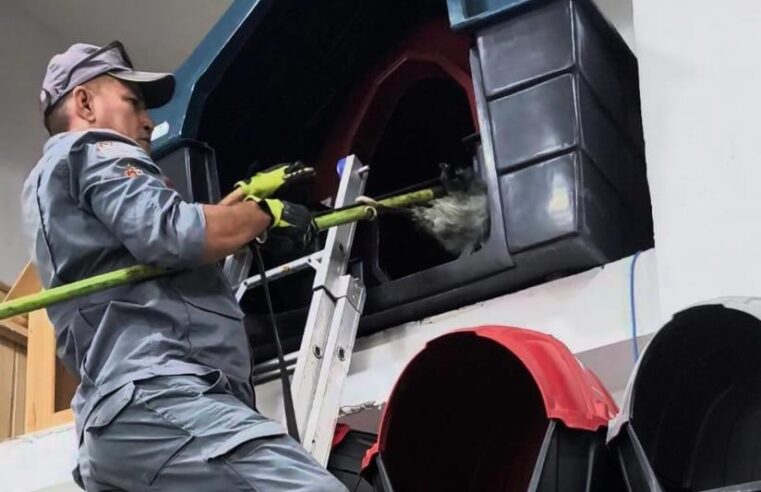 Gambá invade estabelecimento comercial e assusta em Ubatuba