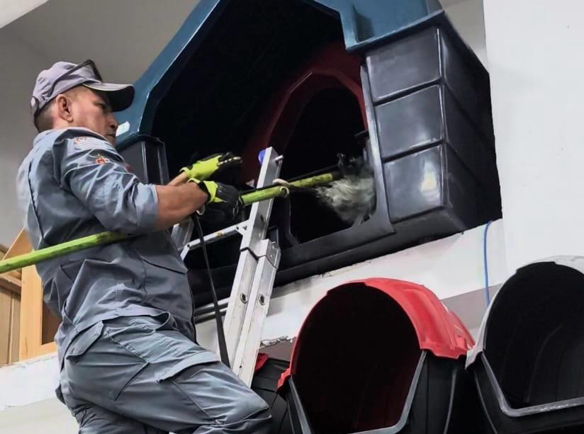 Gambá invade estabelecimento comercial e assusta em Ubatuba