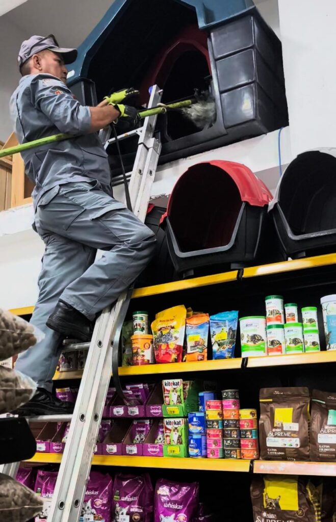 Saruê invade casa de rações em Ubatuba e é rapidamente resgatado