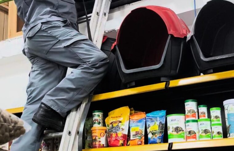 Saruê invade casa de rações em Ubatuba e é rapidamente resgatado
