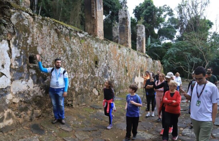 Descubra a Praia da Figueira, um tesouro escondido em São Sebastião
