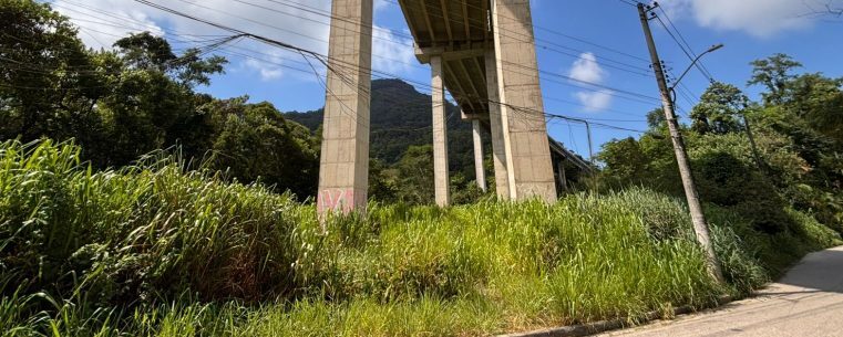 Prefeitura de Caraguatatuba Dá Ultimato para Limpeza de Áreas de Concessionárias