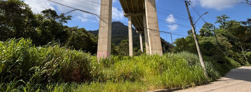 Prefeitura de Caraguatatuba Dá Ultimato para Limpeza de Áreas de Concessionárias