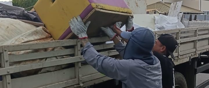 Caraguatatuba entra em lockdown urbano por animais peçonhentos