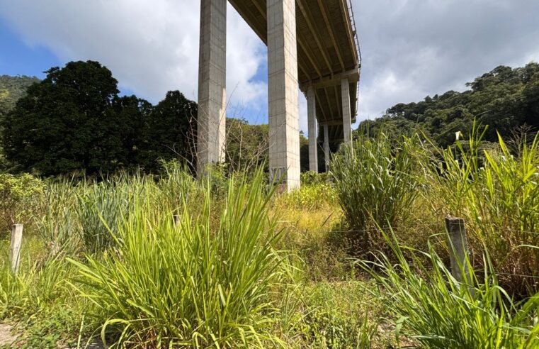 Prefeitura notifica concessionárias para garantir limpeza de áreas de domínio em Caraguatatuba