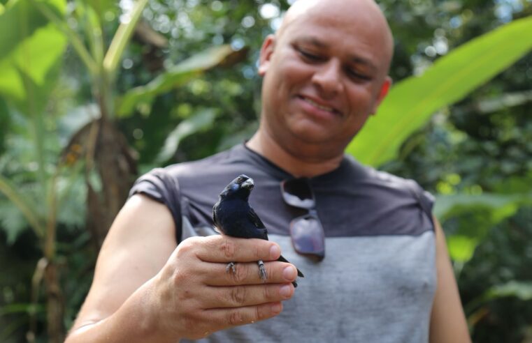 30 Aves Silvestres são Liberadas em Área de Mata Atlântica
