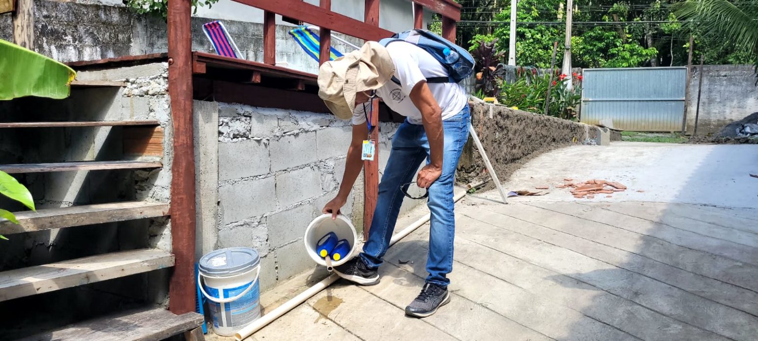 Ubatuba enfrenta dengue: 441 casos confirmados e mutirões de limpeza