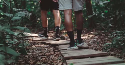 São Sebastião renova parceria para gestão de trilhas no Parque Estadual