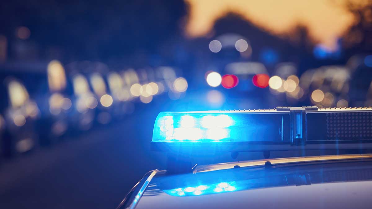 São Sebastião registra mais de 4,6 mil ocorrências em março