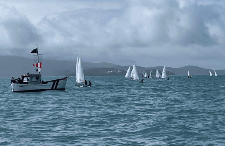 Ilhabela envia oito atletas para campeonato