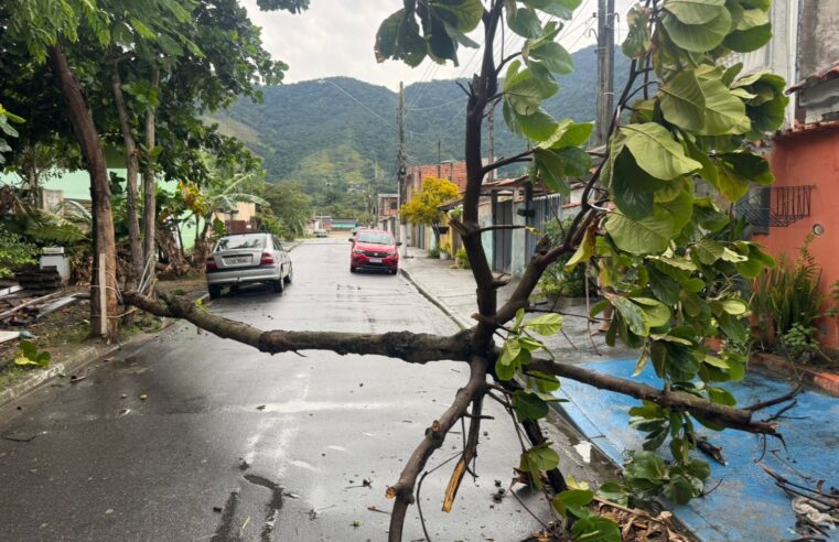 Rajadas de vento mobilizam equipes na madrugada deste sábado em São Sebastião