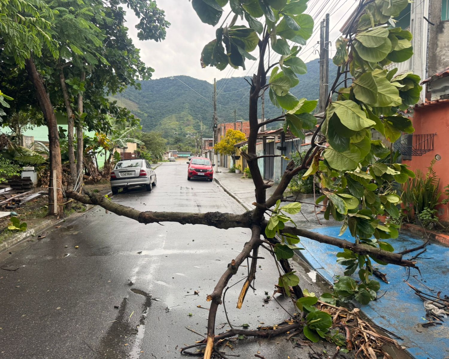 Rajadas de vento mobilizam equipes na madrugada deste sábado em São Sebastião