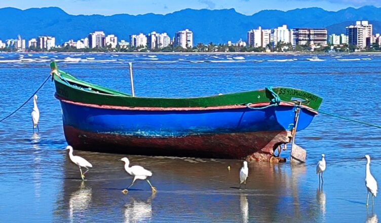 Caraguatatuba comemora 169 anos. Confira as homenagens prestadas à cidade por músicos e poetas ao longo dos anos