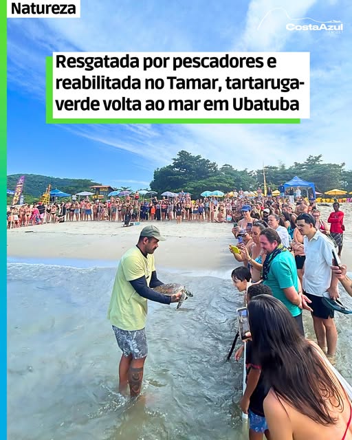 Tartaruga-verde volta ao mar em Ubatuba