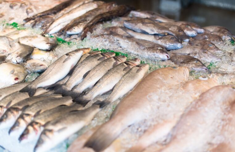 Como identificar peixe fresco? Especialistas dão dicas para não errar na compra