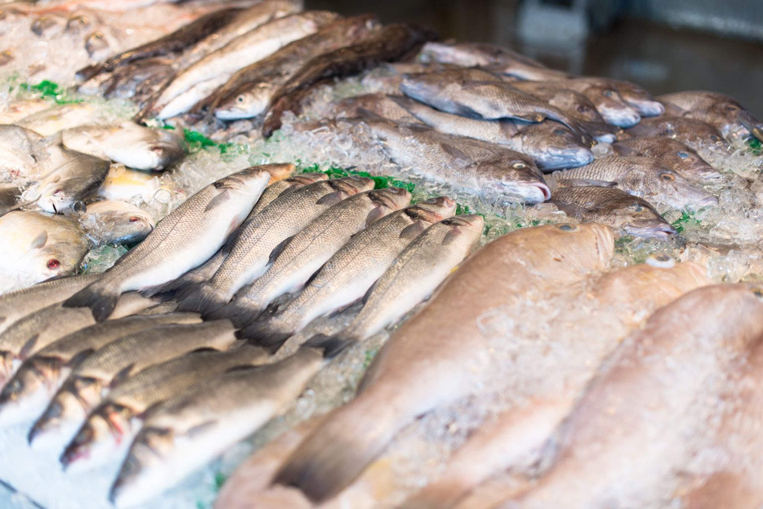 Como identificar peixe fresco? Especialistas dão dicas para não errar na compra