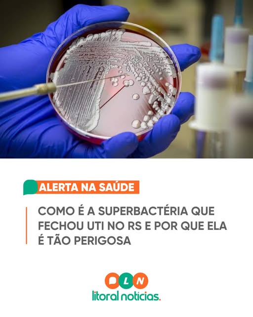 Bactéria identificada na UTI neonatal do Hospital Fêmina