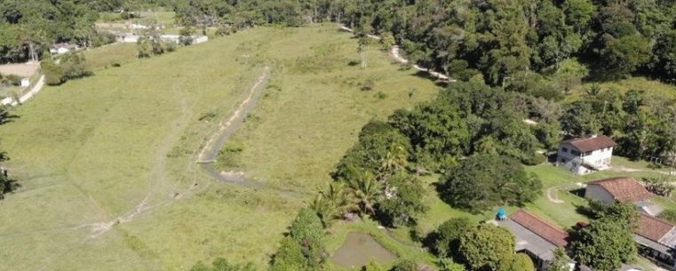 Caraguatatuba autua infrações ambientais