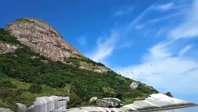 Refúgio de Alcatrazes completa 10 anos de vida