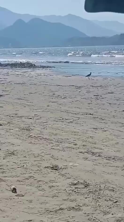 Praia das Palmeiras em Caraguatatuba acumula lixo