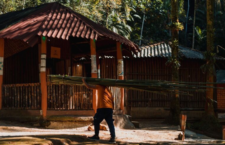 Documentário sobre cultura guarani mbya estreia com sessão gratuita