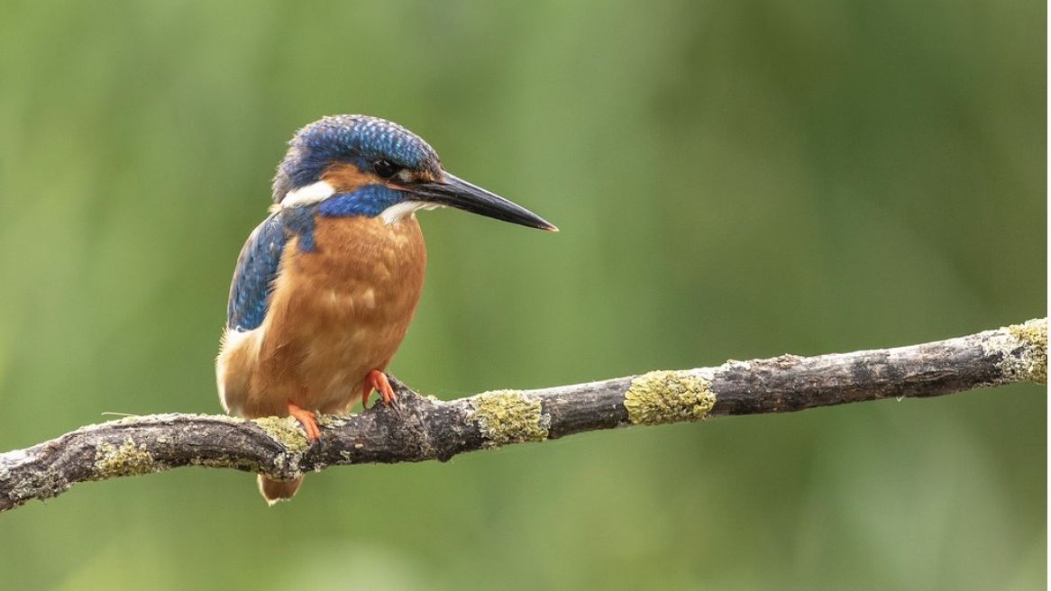Excursão leva empresários ao Jardim Botânico