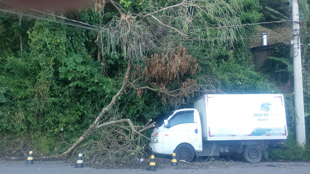Galhos caídos há dias na estrada do Caisão