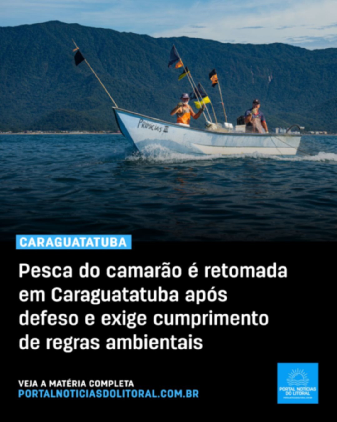 Pescaria de camarão é liberada em Caraguatatuba