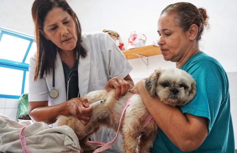 São Sebastião retoma vacinação antirrábica gratuita