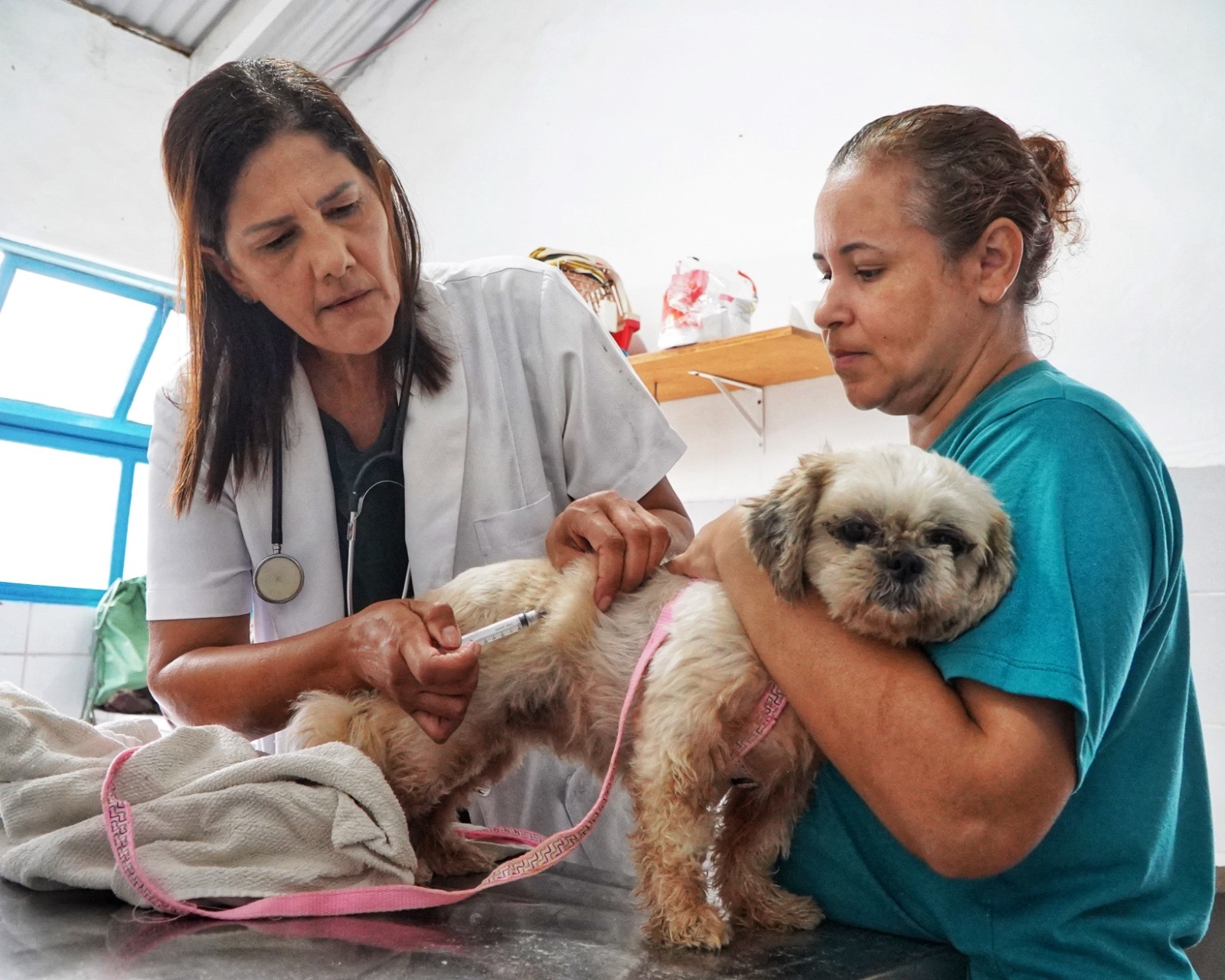 São Sebastião retoma vacinação antirrábica gratuita
