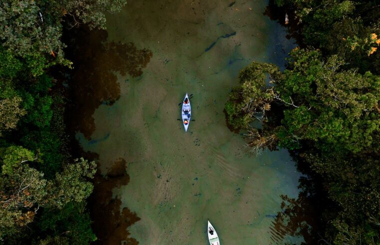 Rio Jaguareguava oferece trilhas e canoagem em Bertioga