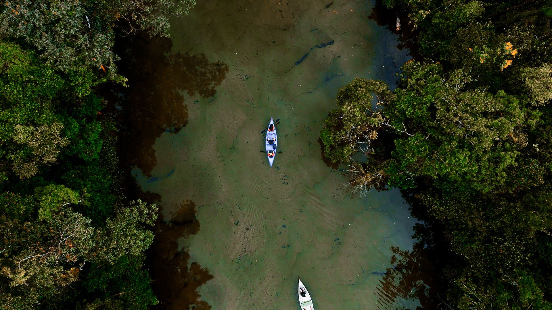 Rio Jaguareguava oferece trilhas e canoagem em Bertioga